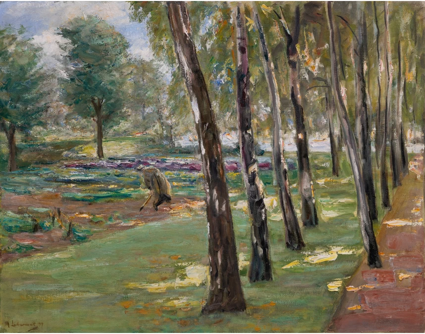 Un viale di betulle nel giardino di Wannsee, vista di un campo di cavoli